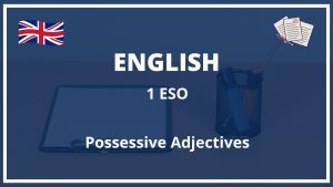 Ejercicios Possessive Adjectives 1 ESO Con Soluciones Exercices PDF