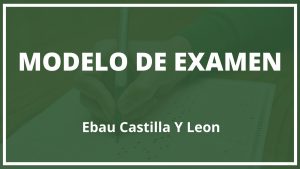 Examen Ebau Castilla Y Leon Modelo