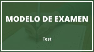 Modelo de Examen Test